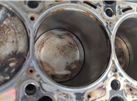  Блок цилиндров (Шорт блок) Audi A4 (B6) 2000-2006 20568462 #7
