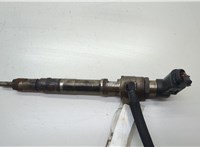  Форсунка топливная Volkswagen Golf 6 2009-2012 20569286 #1