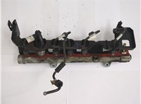  Рампа (рейка) топливная Renault Scenic 2003-2009 20569354 #1