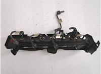 Рампа (рейка) топливная Renault Scenic 2003-2009 20569354 #2