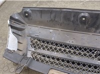  Решетка радиатора Iveco Daily 4 2005-2011 20569507 #6