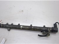  Рампа (рейка) топливная Mercedes Vito W639 2003-2014 20569576 #1