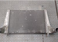  Радиатор интеркулера DAF LF 2001-2013 20569741 #3