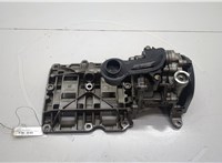 11417810823 Насос масляный BMW 5 F10 2010-2017 20570342 #1