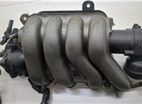  Коллектор впускной Volkswagen Touran 2003-2006 20570422 #1