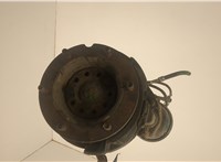 81934200337, 81443010191, 81508030042 Ступица (кулак, цапфа) Man TGL 2005-2021 20570802 #1
