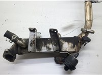  Охладитель отработанных газов Renault Scenic 2009-2012 20571415 #1