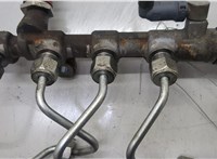 175216485R, 0445214256 Рампа (рейка) топливная Renault Scenic 2009-2012 20571416 #2