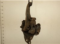  Кулак поворотный Iveco EuroCargo 2 2002-2015 20571464 #1
