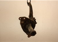  Кулак поворотный Iveco EuroCargo 2 2002-2015 20571464 #3