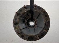 7421024188 Ступица (кулак, цапфа) Renault T 2013-2022 20571636 #1