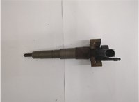 13537808089 Форсунка топливная BMW X5 E70 2006-2013 20569334 #1
