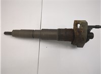 13537808089 Форсунка топливная BMW X5 E70 2006-2013 20569635 #2