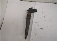13537808089 Форсунка топливная BMW X5 E70 2006-2013 20569987 #1