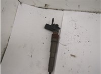 13537808089 Форсунка топливная BMW X5 E70 2006-2013 20569987 #2