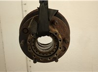  Ступица (кулак, цапфа) Iveco EuroCargo 1 1991-2002 20571970 #1