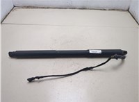 51247340975 Амортизатор крышки багажника BMW 3 F30 2012-2019 20572279 #1