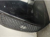  Обшивка капота Hyundai Terracan 2001-2007 11487346 #2