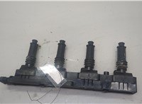 1208012, 90560110, 90543253 Катушка зажигания Opel Astra G 1998-2005 20573292 #1
