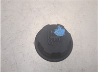 30864125 Пробка расширительного бачка Volvo S40 / V40 1995-2004 20573452 #1