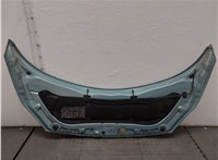  Капот Renault Scenic 2003-2009 20573922 #5