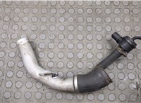  Патрубок интеркулера Audi A6 (C5) Allroad 2000-2006 20574781 #1