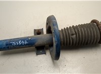  Амортизатор подвески Ford Galaxy 2000-2006 20575342 #1