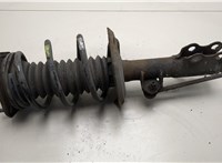 4852080490 Амортизатор подвески Toyota Prius 2015-2019 20575354 #1
