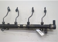 A6460701895, A6460700695 Рампа (рейка) топливная Mercedes Vito W639 2003-2014 20575711 #1