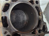  Блок цилиндров (Шорт блок) Nissan Almera N16 2000-2006 20575836 #10