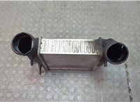  Радиатор интеркулера Volkswagen Passat 5 2000-2005 20576067 #3