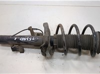  Амортизатор подвески Ford Focus 2 2008-2011 20576104 #1