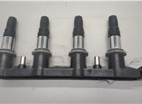  Катушка зажигания Chevrolet Orlando 2011-2018 20576186 #1