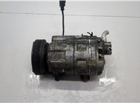  Компрессор кондиционера Volkswagen Golf 4 1997-2005 20576262 #1