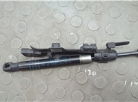 51237347402, 7347402 Амортизатор капота BMW 5 G30, G31 2017-2023 20576267 #2