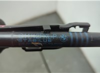 51237347402, 7347402 Амортизатор капота BMW 5 G30, G31 2017-2023 20576267 #3