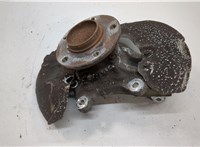  Ступица (кулак, цапфа) BMW X1 (E84) 2009-2015 20576412 #1