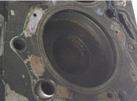 1596577, 1749288, 9C1Q6011AA Блок цилиндров (Шорт блок) Ford Transit 2006-2014 20577278 #8
