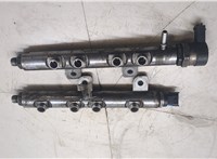  Рампа (рейка) топливная Land Rover Range Rover Sport 2005-2013 2524858 #1
