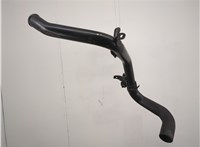  Патрубок интеркулера Ford Focus 2 2008-2011 20578157 #1