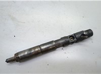 166001137R, 7711497343 Форсунка топливная Renault Clio 2005-2009 20578405 #1