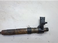 Форсунка топливная Land Rover Freelander 2 2006-2014 20578534 #1