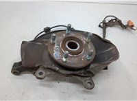 44600S1AE40, 51210SCA981, 45255S9AE00 Ступица (кулак, цапфа) Honda CR-V 2001-2006 20578917 #1