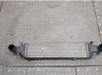 Радиатор интеркулера Mercedes C W204 2006-2015 20578924 #1