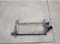  Радиатор интеркулера Nissan Pathfinder 2004-2014 20578936 #2