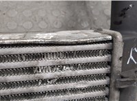  Радиатор интеркулера Audi A4 (B6) 2000-2006 20578987 #3