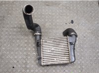  Радиатор интеркулера Audi A4 (B6) 2000-2006 20578987 #4