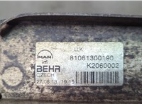 Радиатор интеркулера Man TGM 2005-2021 20579072 #4