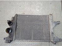 A6685000500 Радиатор интеркулера Mercedes Vario (512D-815D) 1996-2013 20579319 #1