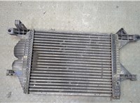 A6685000500 Радиатор интеркулера Mercedes Vario (512D-815D) 1996-2013 20579319 #2